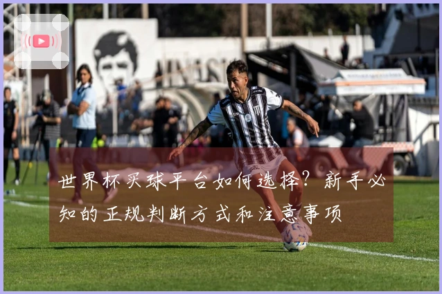 世界杯买球平台如何选择？新手必知的正规判断方式和注意事项