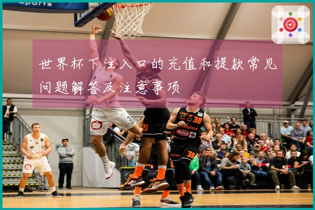世界杯下注入口的充值和提款常见问题解答及注意事项