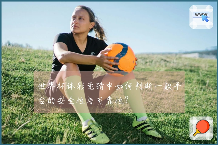 世界杯体彩竞猜中如何判断一款平台的安全性与可靠性？
