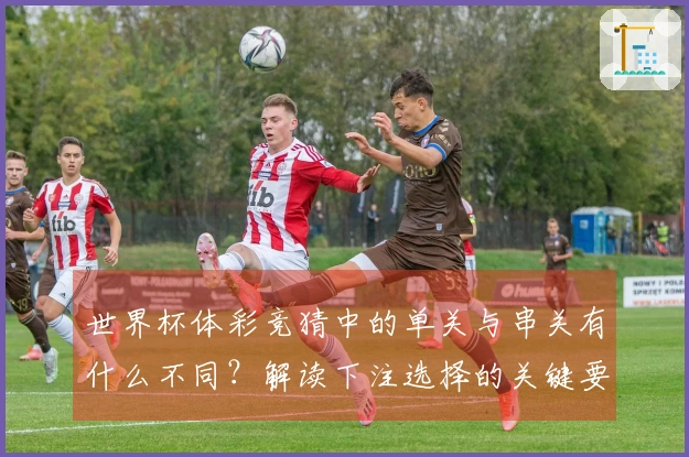 世界杯体彩竞猜中的单关与串关有什么不同？解读下注选择的关键要素