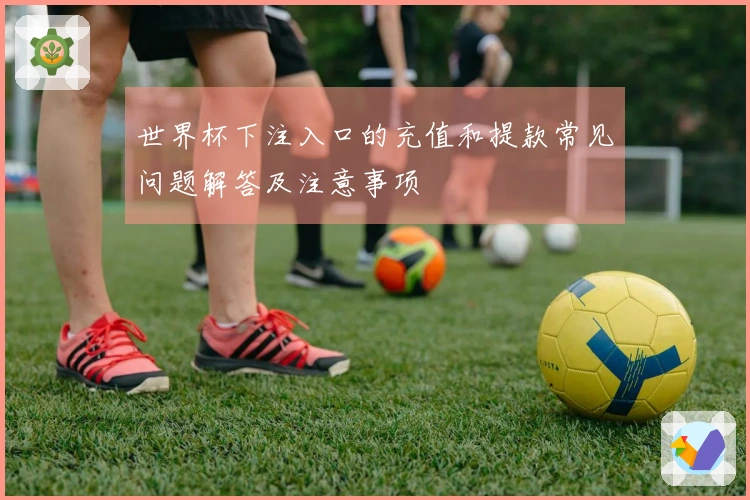 世界杯下注入口的充值和提款常见问题解答及注意事项